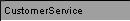 CustomerService